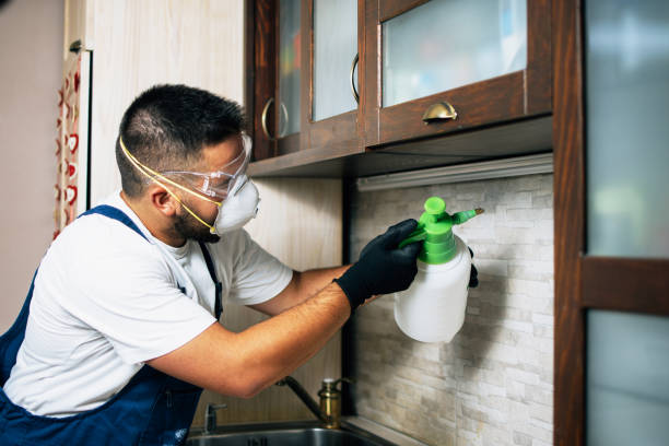 Best Insect Control  in Nashua, IA